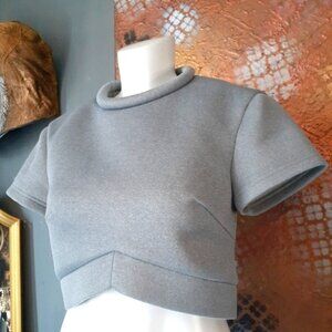 Minty Meets Munt Gray Womens Cropped Top